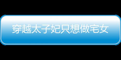 穿越太子妃只想做宅女