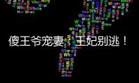 傻王爷宠妻：王妃