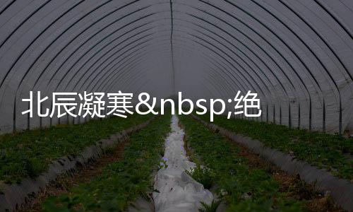 《恰似寒光遇骄阳》全文在线阅读