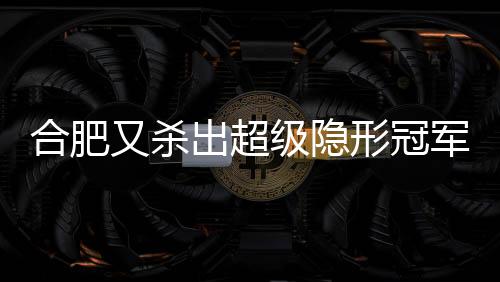 合肥又杀出超级隐形冠军：年入42亿，全国第十