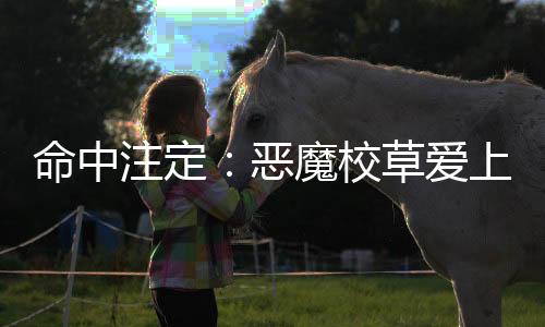 《夫人每天都在线打脸》全文在线阅读
