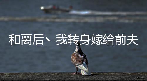 《嫁绝嗣长官，好孕作精在七零躺赢》全文在线阅读