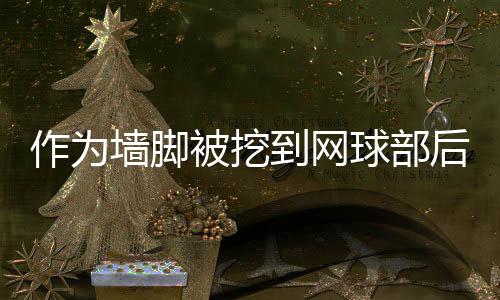 《七零：随军辣媳带飞大院暴富逆袭》全文在线阅读