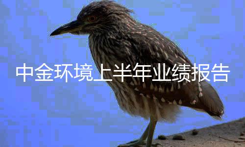 中金环境上半年业绩报告分析：环保咨询增速达224.7%