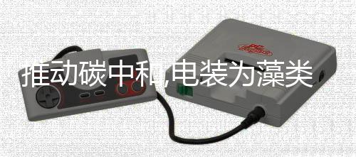 推动碳中和,电装为藻类量产和应用铺路