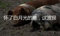 怀了白月光的崽，