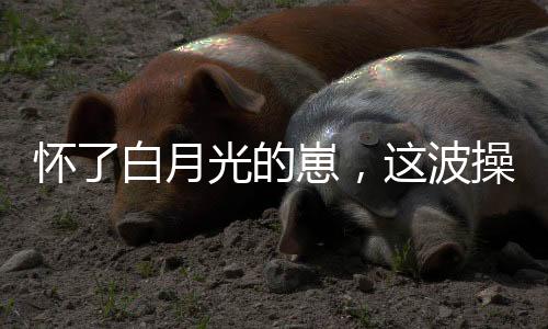 《治愈S级雄兽，小雌性是帝国珍宝》全文在线阅读