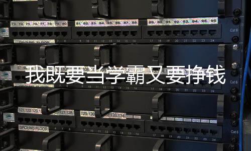 我既要当学霸又要挣钱