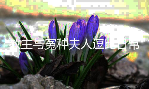 《算卦太准，一不小心功德爆表啦！》全文在线阅读
