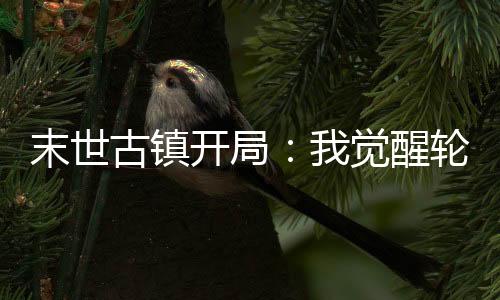 《八零对照组：换亲后，我被团宠了》全文在线阅读