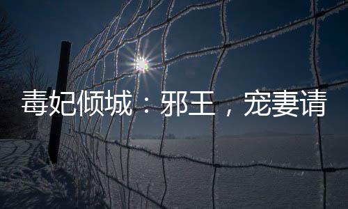 毒妃倾城：邪王，宠妻请低调