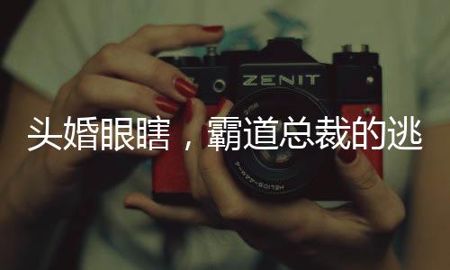 《惊！天降老公竟是首富》全文在线阅读