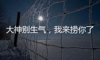大神别生气，我来