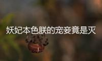 妖妃本色朕的宠妾