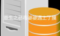 重生之恶毒婆婆遇