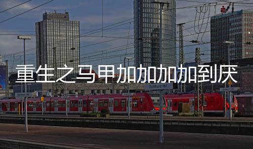 重生之马甲加加加加到厌倦