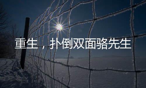 《重生年代，福气包在厂区吃瓜看戏》全文在线阅读