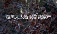 腹黑太太智取总裁