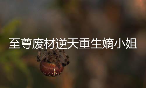 至尊废材逆天重生嫡小姐