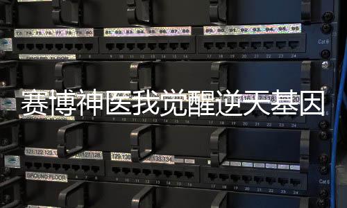 《重生年代大院娇媳美又飒》全文在线阅读