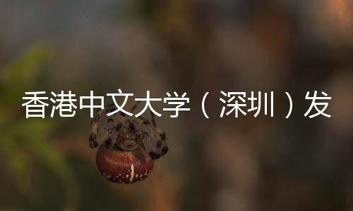 香港中文大学（深圳）发布2021年本科毕业生就业质量报告