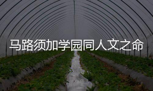 《京娇盛宠》全文在线阅读