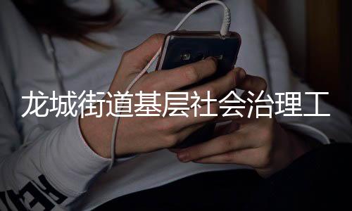 龙城街道基层社会治理工作获龙岗区人大常委会调研组肯定