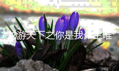 《全网黑后我在军旅综艺杀疯了》全文在线阅读